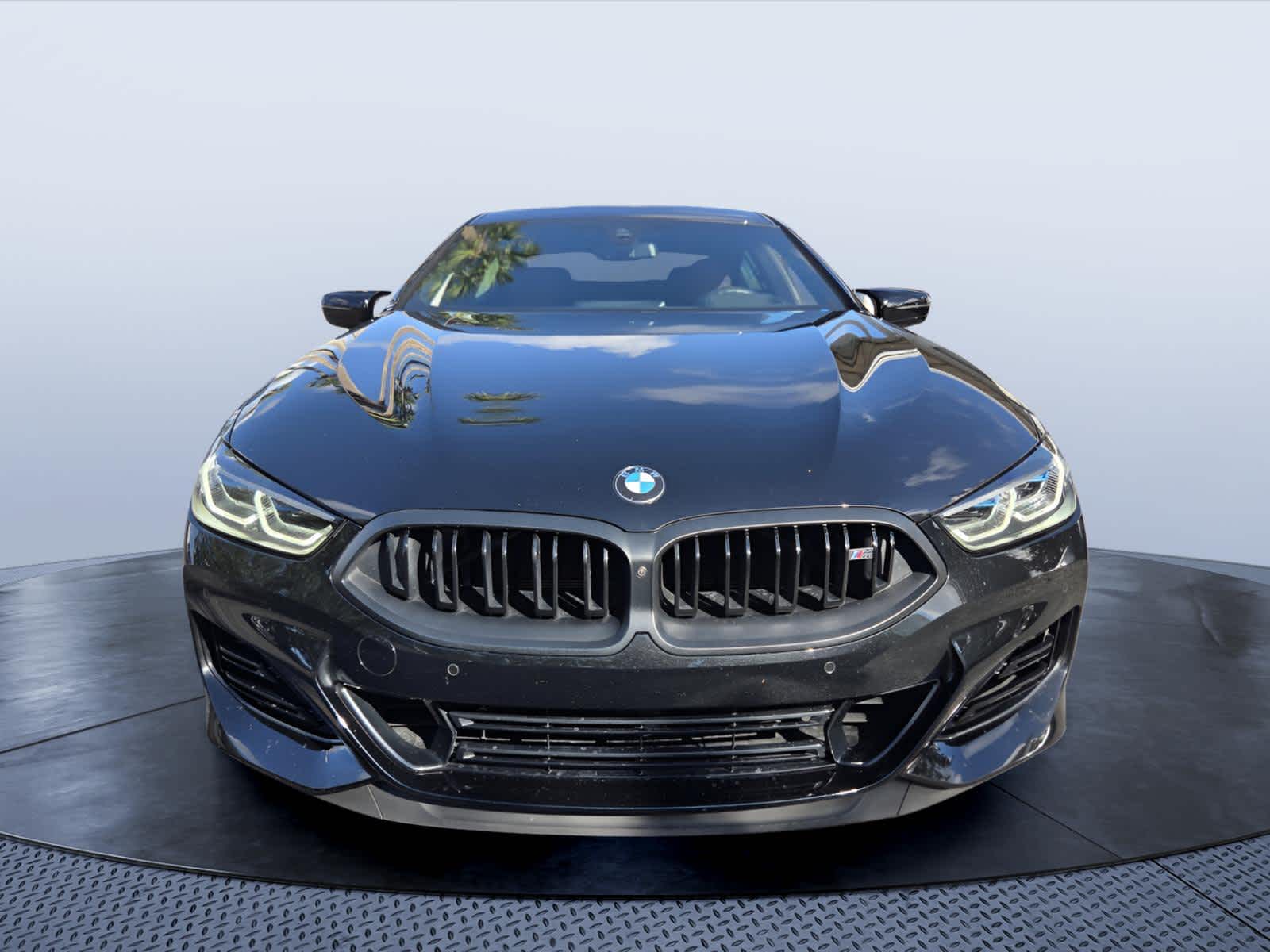 2025 BMW 8 Series M850i - Photo 8