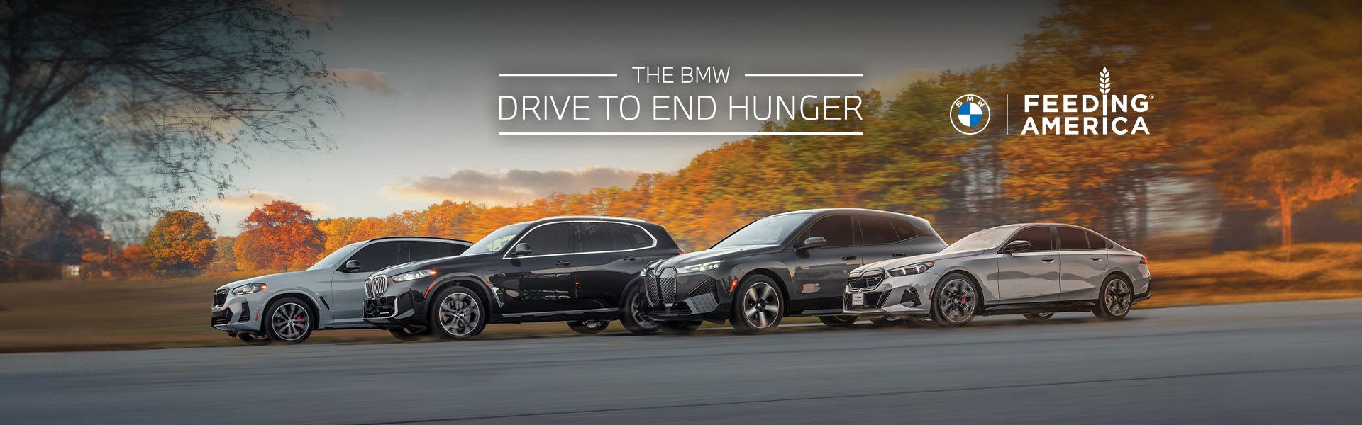bmw drive to end hunger hero logo